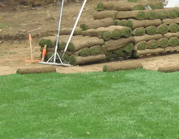 SOD Installation - Diversify Property Services